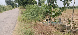 IMG-20240919-WA0391-2